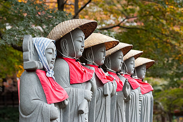 【お坊さんが解説する仏教用語】本地垂迹